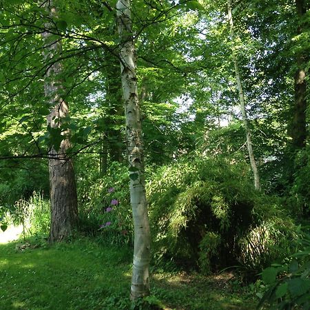 Domaine De Chantemerles Fontainebleau Zewnętrze zdjęcie