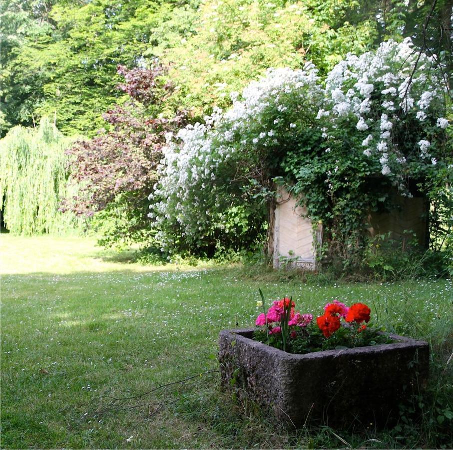 Domaine De Chantemerles Fontainebleau Zewnętrze zdjęcie