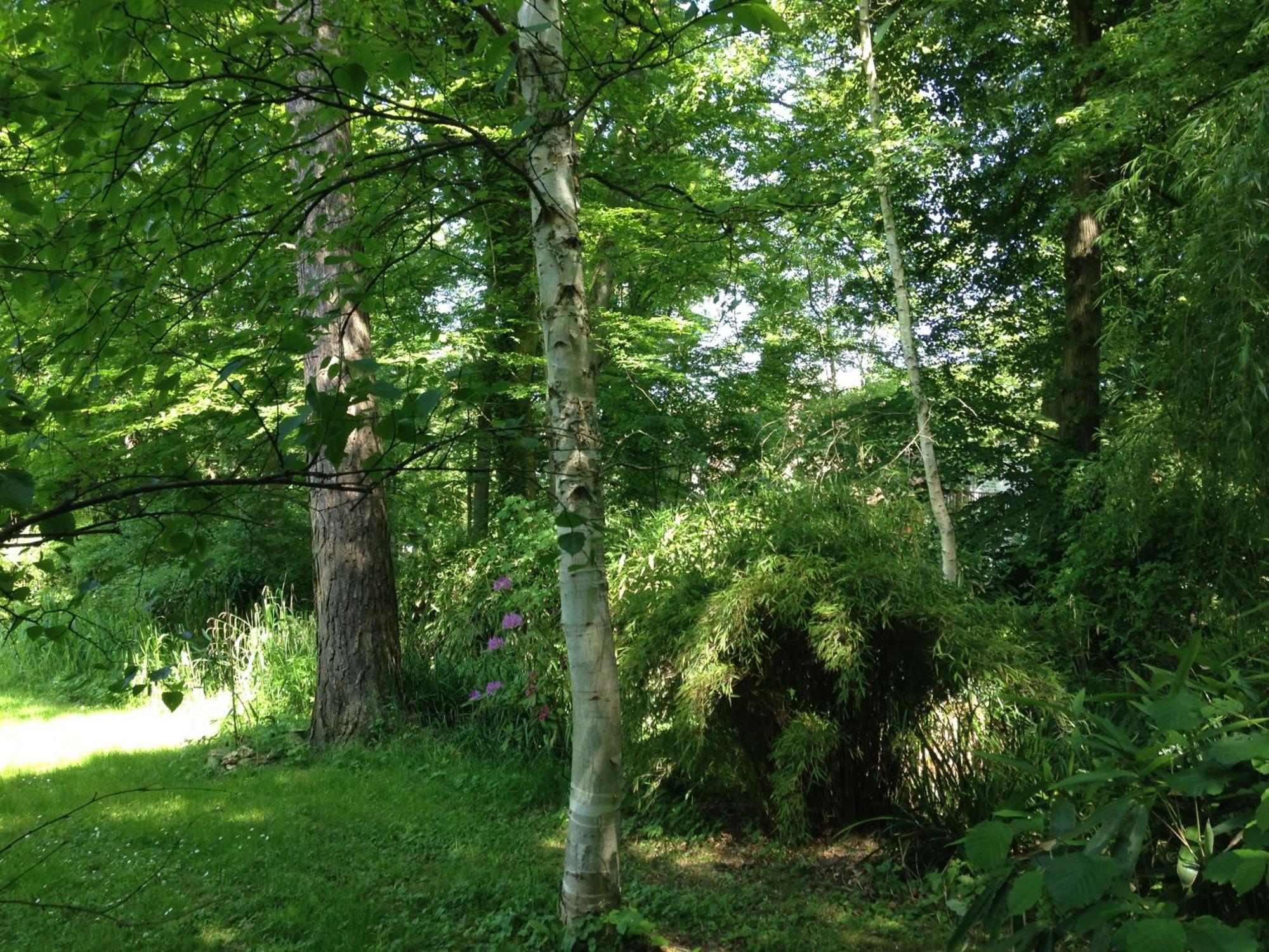 Domaine De Chantemerles Fontainebleau Zewnętrze zdjęcie
