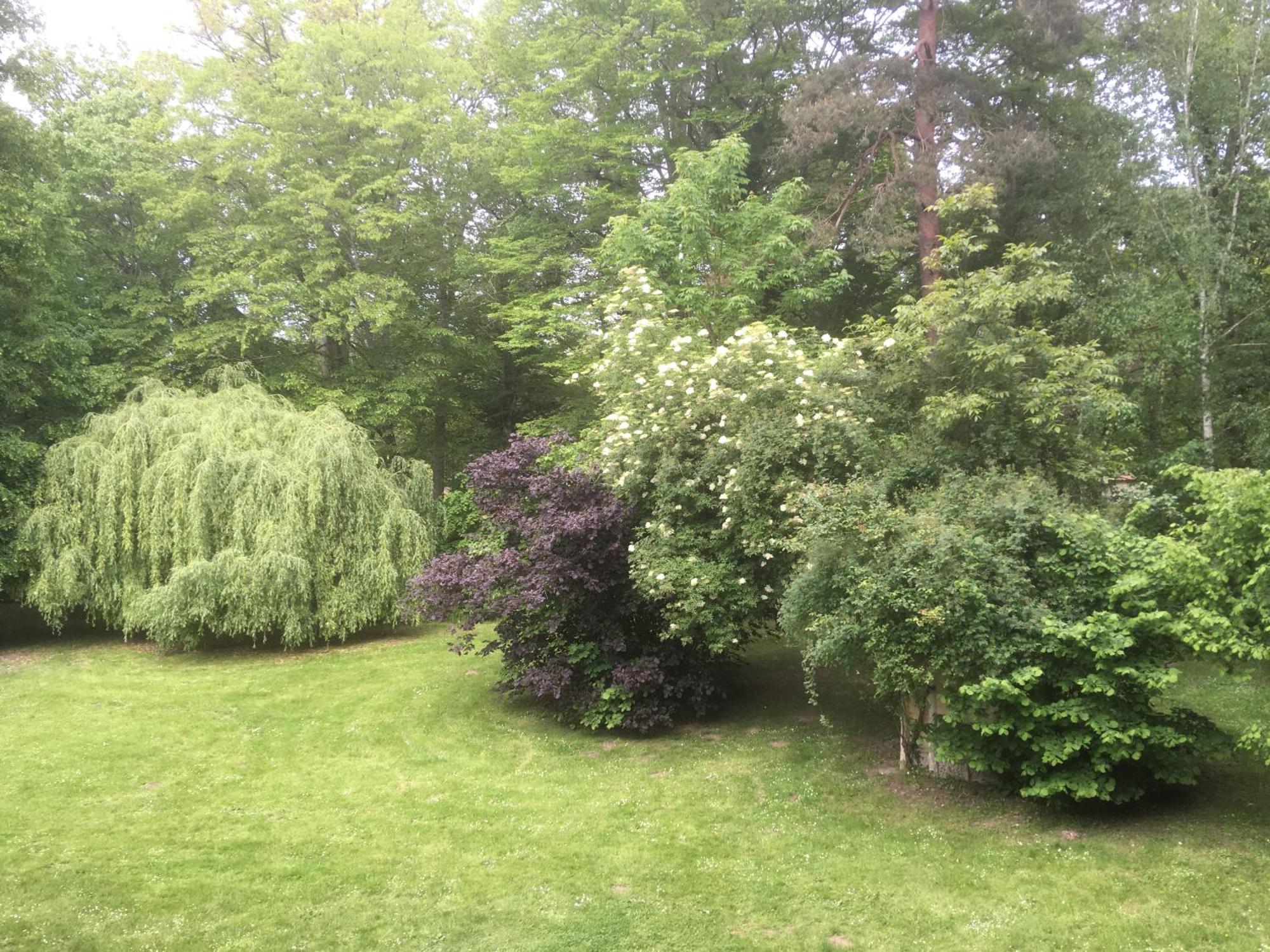 Domaine De Chantemerles Fontainebleau Zewnętrze zdjęcie