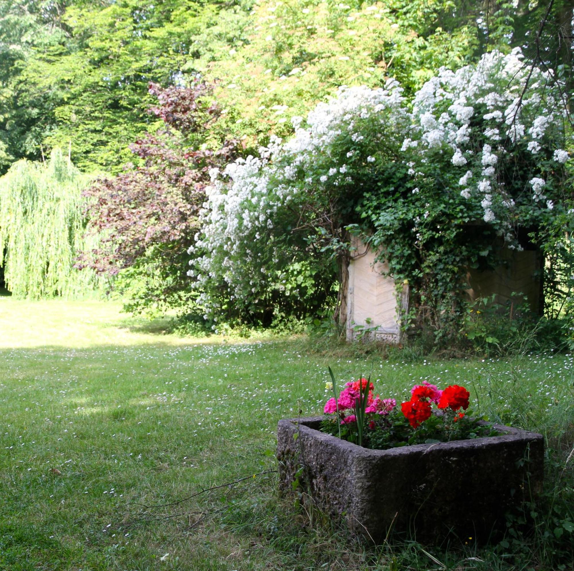 Domaine De Chantemerles Fontainebleau Zewnętrze zdjęcie