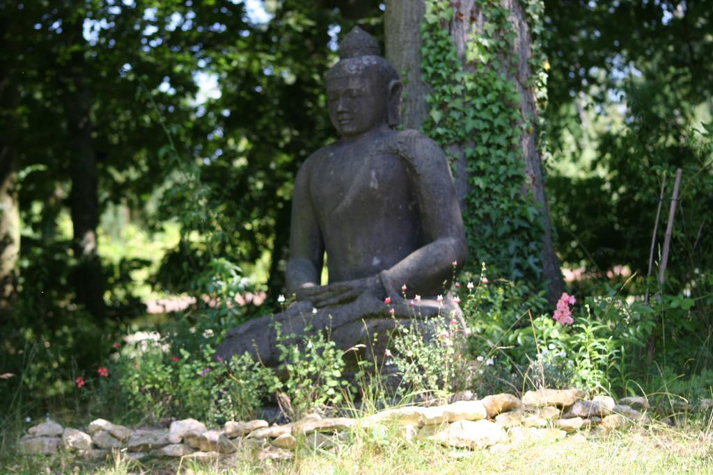 Domaine De Chantemerles Fontainebleau Zewnętrze zdjęcie