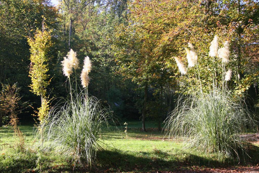 Domaine De Chantemerles Fontainebleau Zewnętrze zdjęcie
