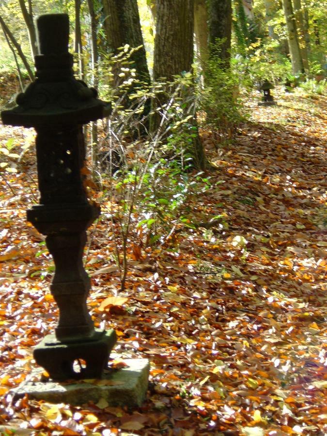 Domaine De Chantemerles Fontainebleau Zewnętrze zdjęcie